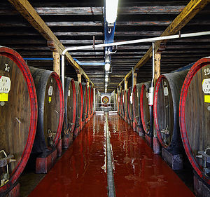 Interno Cantina Villa Marcello